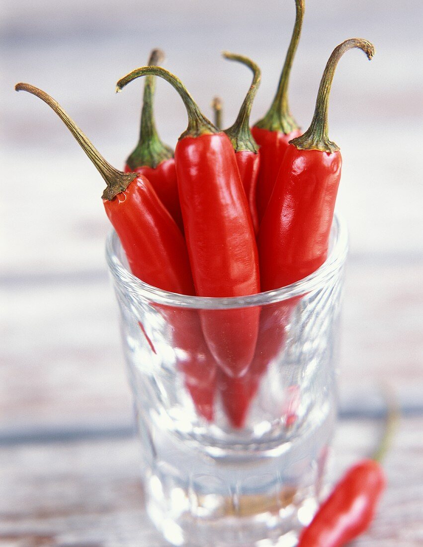 Large red chili pepper in a jar