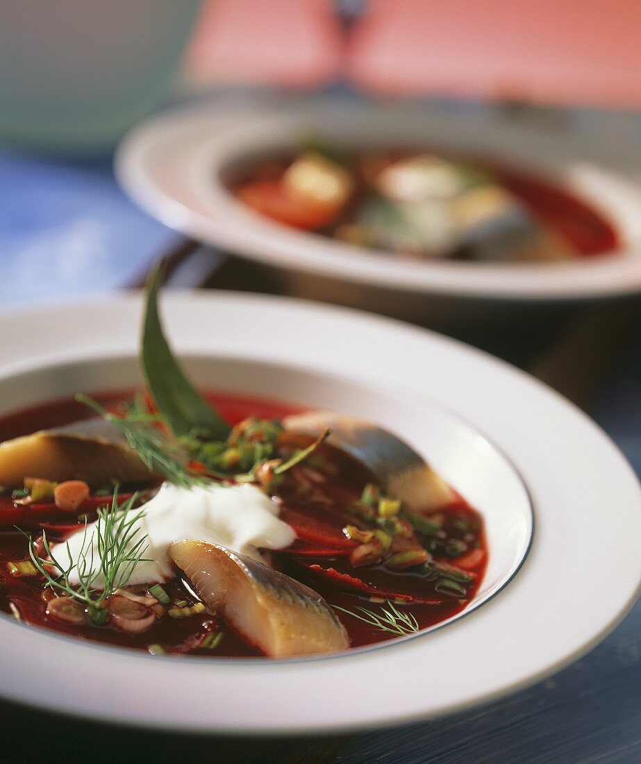 Rote-Bete-Suppe mit Matjeshering und saurer Sahne