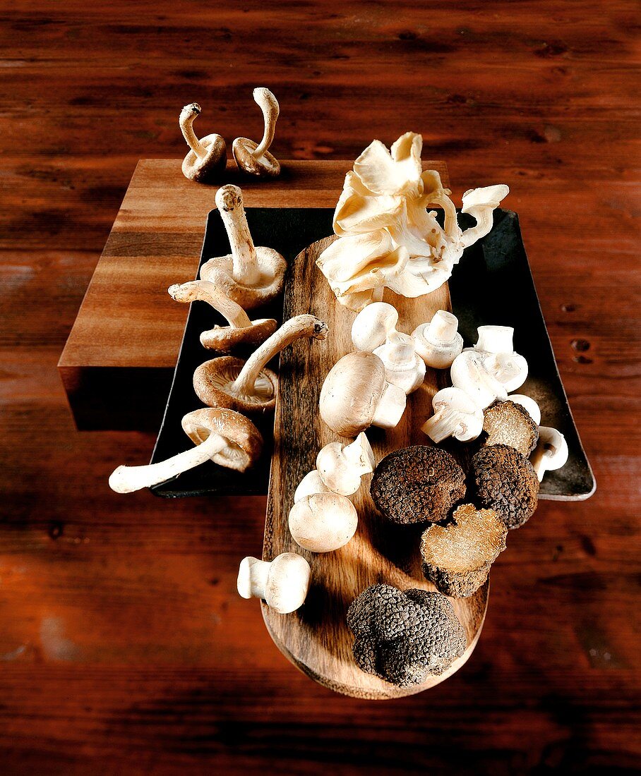 Shiitake, oyster and button mushrooms and truffles