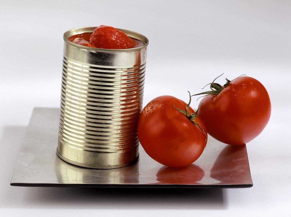 Geschälte Tomaten in einer Konservendose mit zwei Tomaten