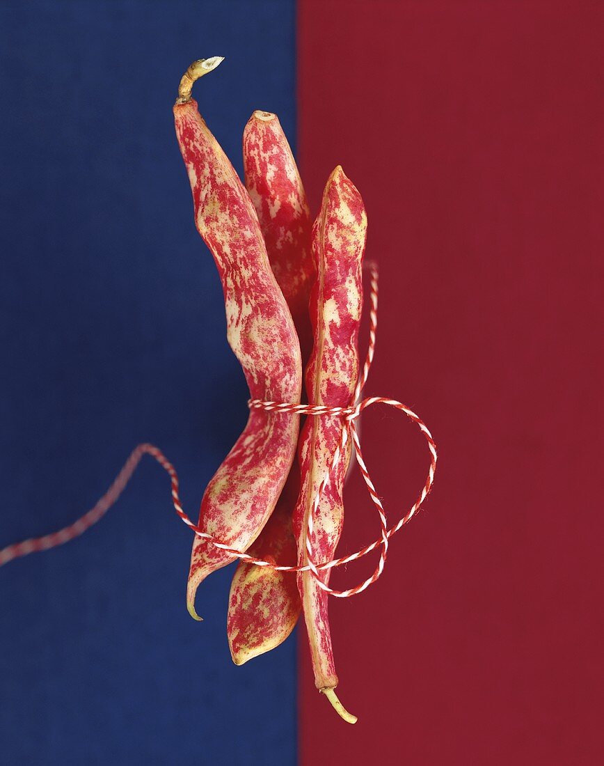 Three borlotti beans tied together with string