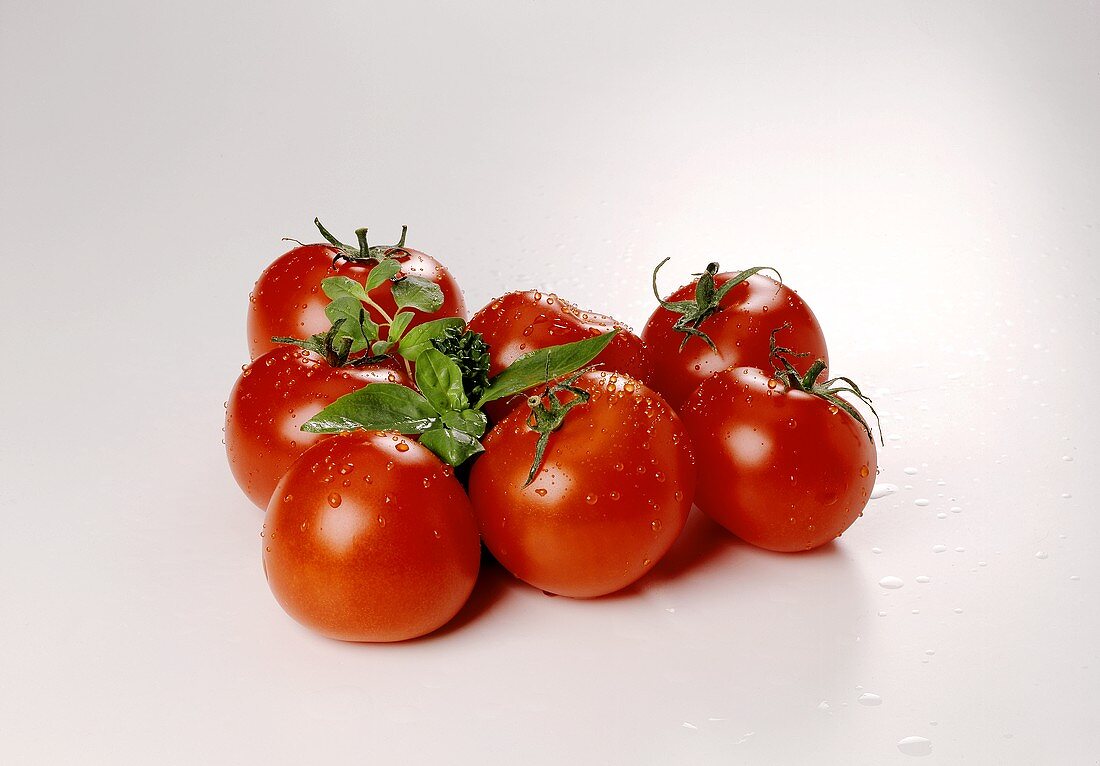 Wassertropfen auf frischen Tomaten und Kräutern