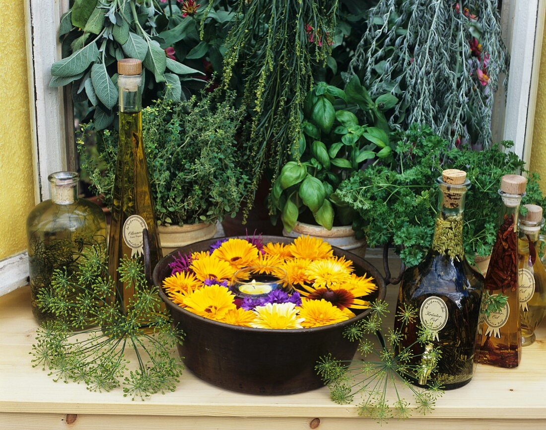 Kräuter, Kräuteröle & Schale mit Blüten vor Küchenfenster