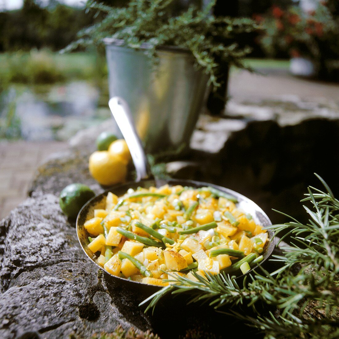 Kartoffelpfanne mit grünen Bohnen & Zitronenschale (Provence)