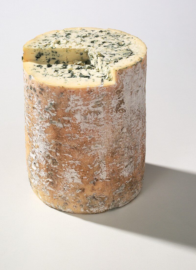 Fourme d Ambert (Französischer Käse aus der Auvergne)