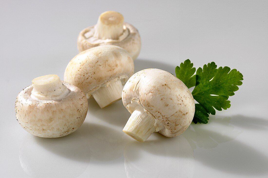 Four mushrooms caps with parsley