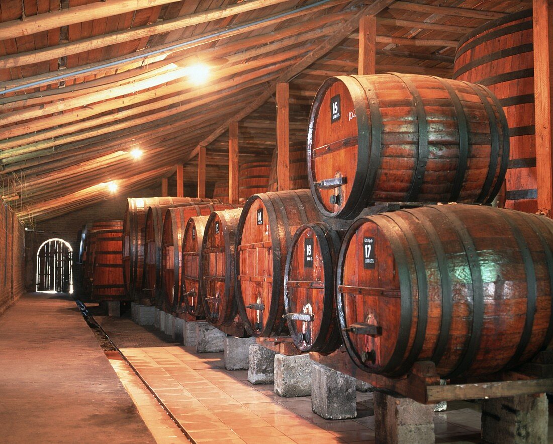 Weinlagerung im Weingut Bisquertt, Chile, Lateinamerika