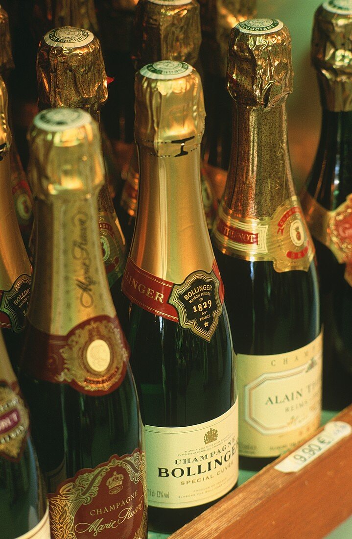 Verschiedene Champagnerflaschen