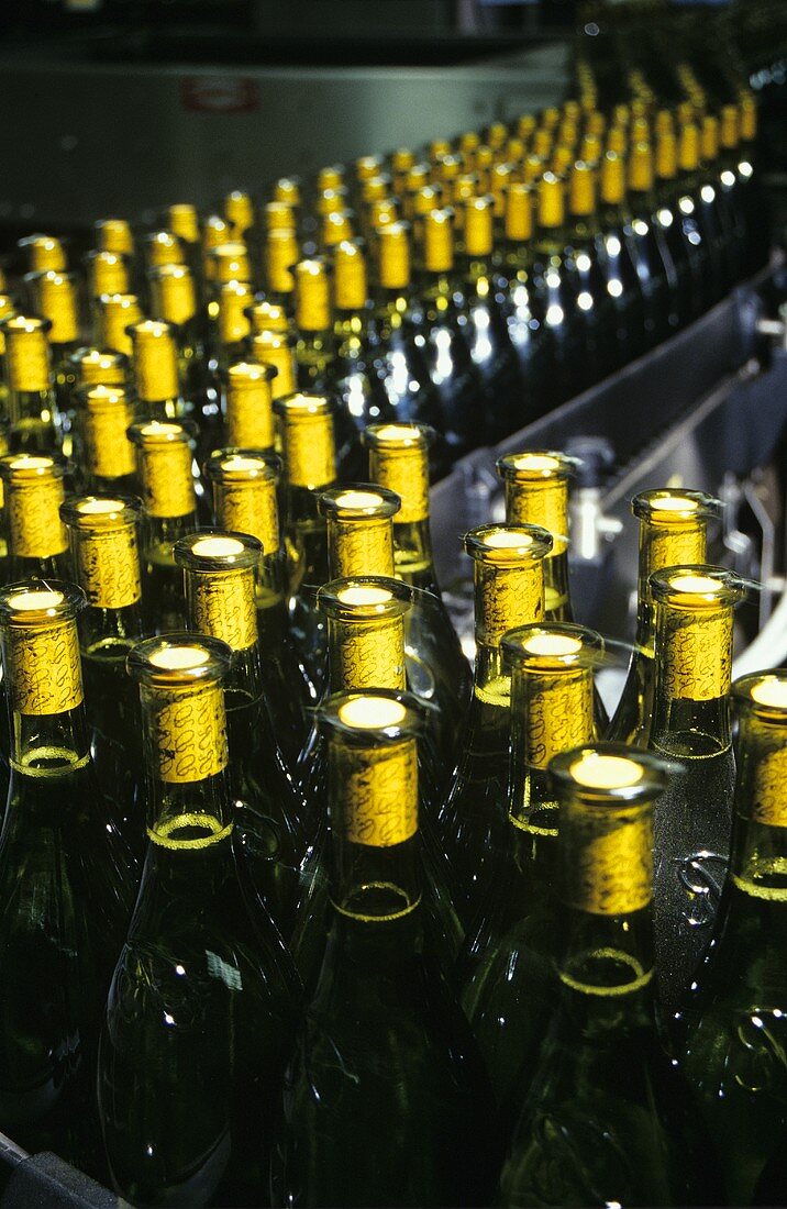 Chardonnay wine bottles on conveyor belt, Rosemount, Australia