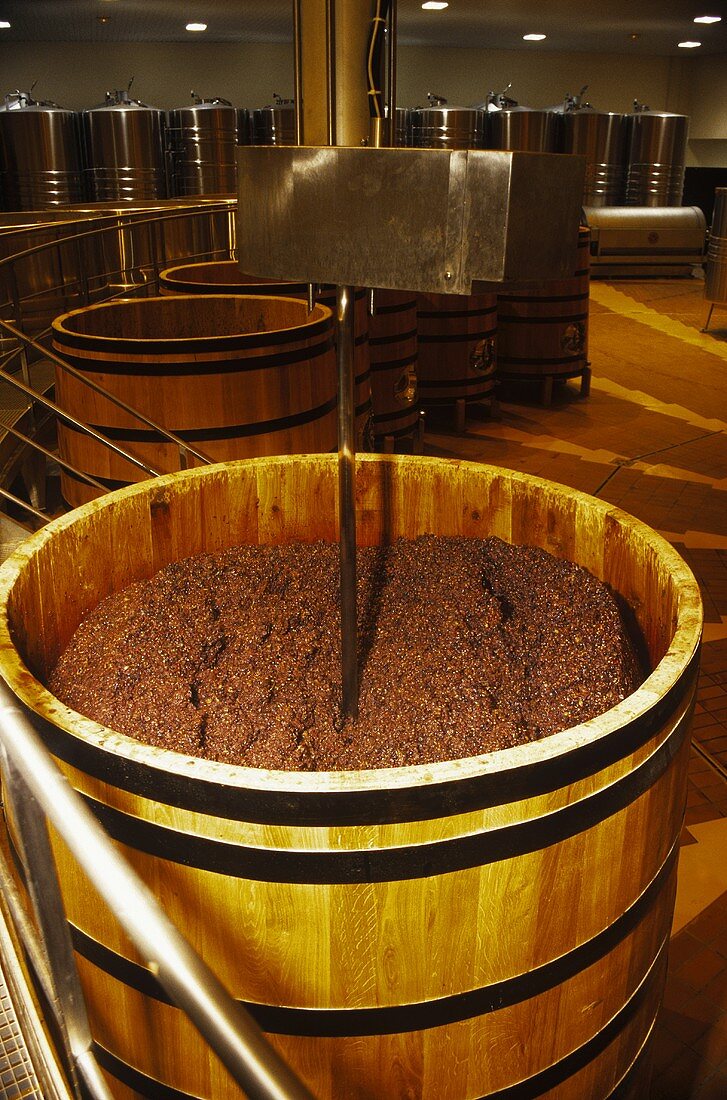 Opened fermenter at Louis Jadot's, Burgundy, France