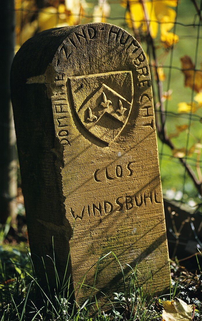 Grenzstein von Zind-Humbrecht bei Windsbühl, Hunawihr, Elsass