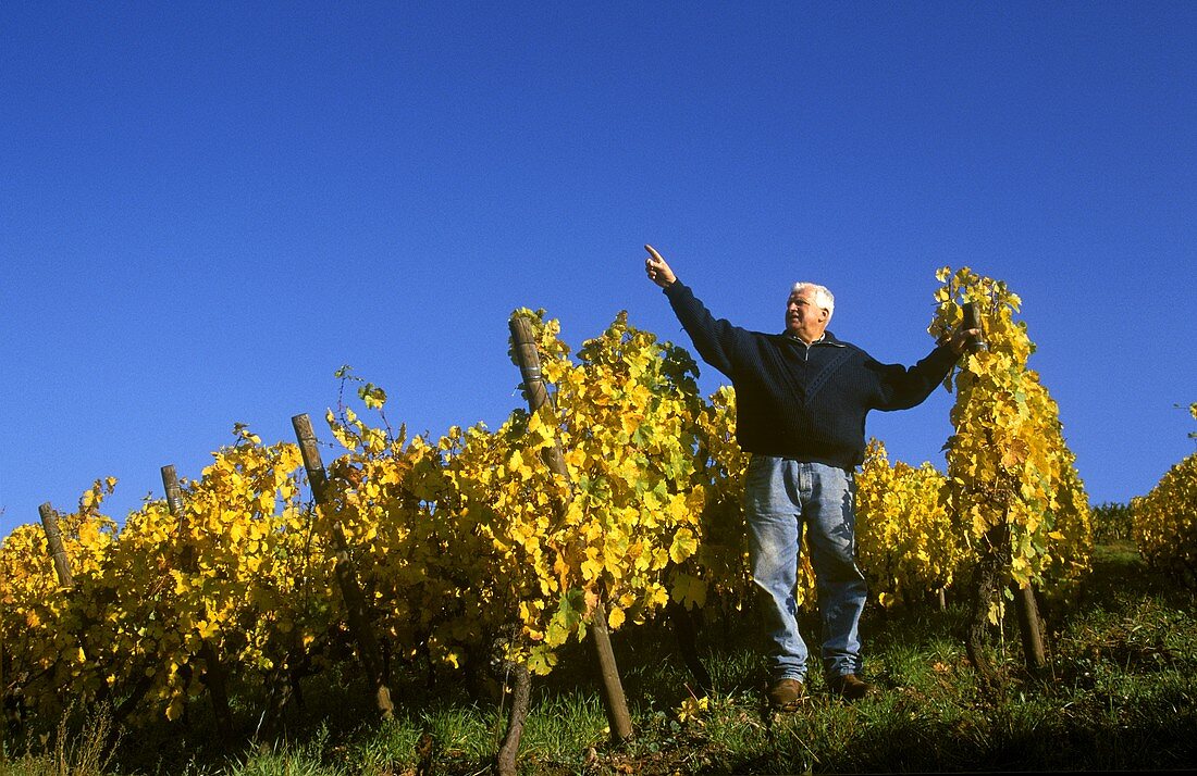 Leonard Humbrecht in his Riesling vineyard, Turckheim