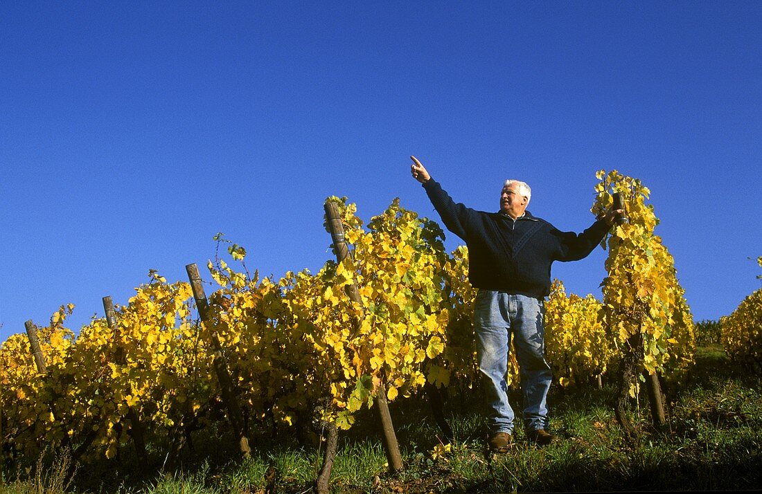 Leonard Humbrecht in seinem Riesling-Weinberg, Turckheim