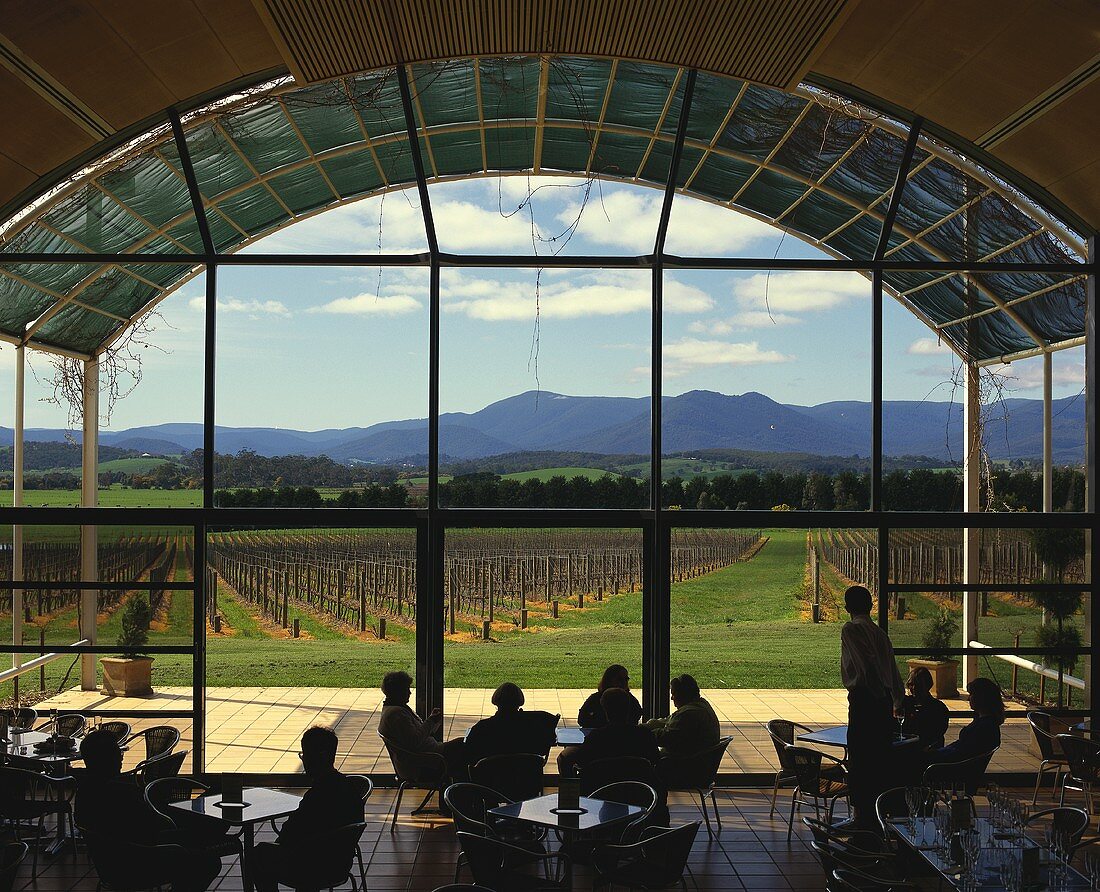 Verkostungssaal mit Blick auf Weinberg, Domaine Chandon