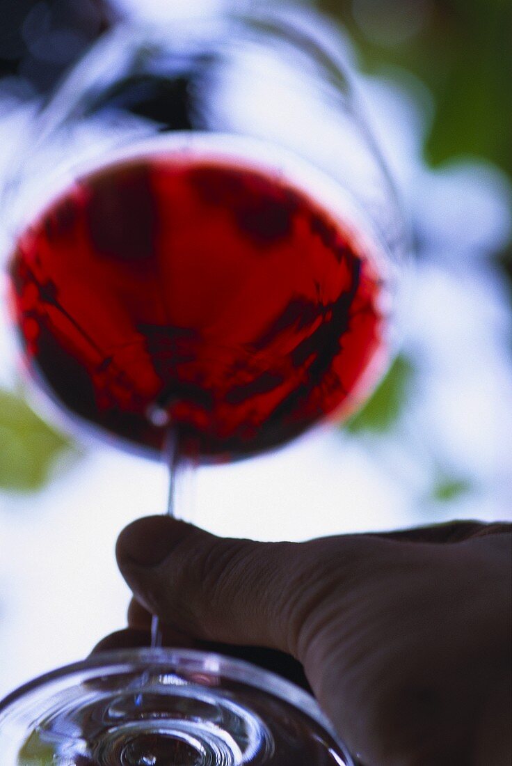 Hand schwenkt Glas gefüllt mit Pinot Noir