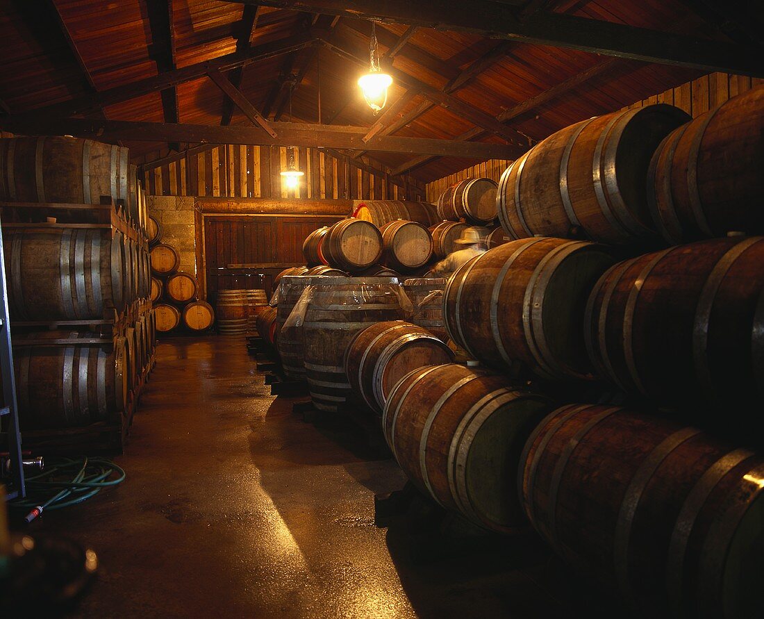Weinkeller im Reynolds-Weingut, Upper Hunter Valley, NSW