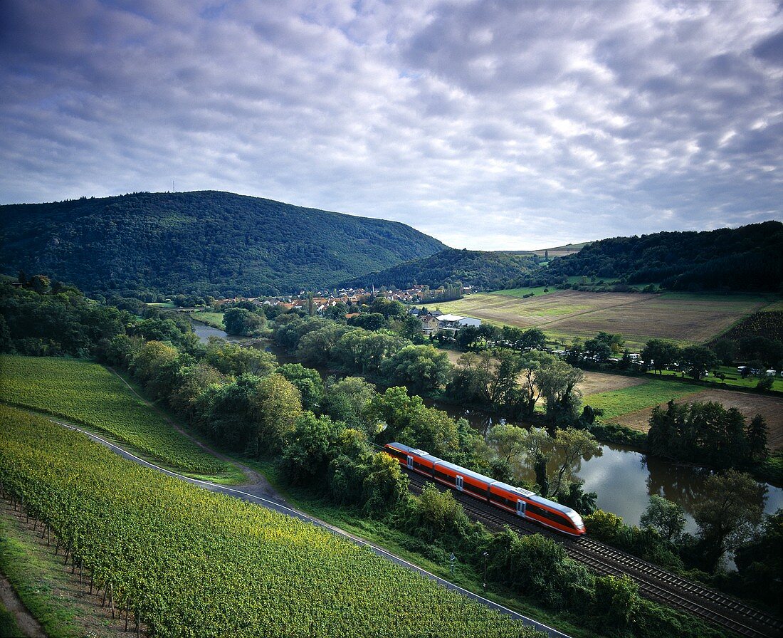 Der Hermannsberg-Weinberg bei Niederhausen, Nahe, Deutschland