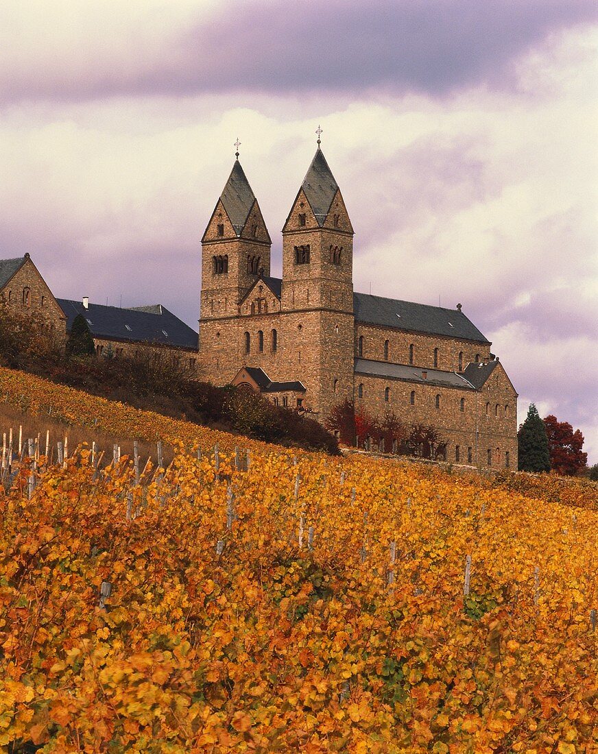 Die Abtei St. Hildegard bei Rüdesheim , Rheingau, Deutschland
