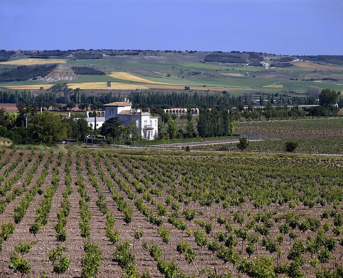 Das Weingut von Vega Sicilia, Valbuena de Duero, Valladolid