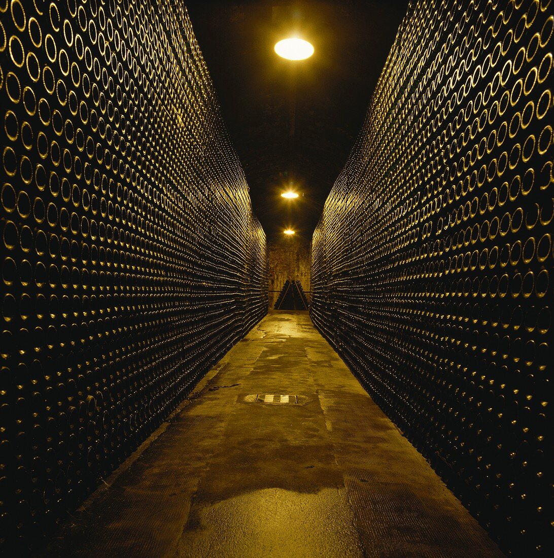 Cava sparkling wine stored in wine cellar, Spain