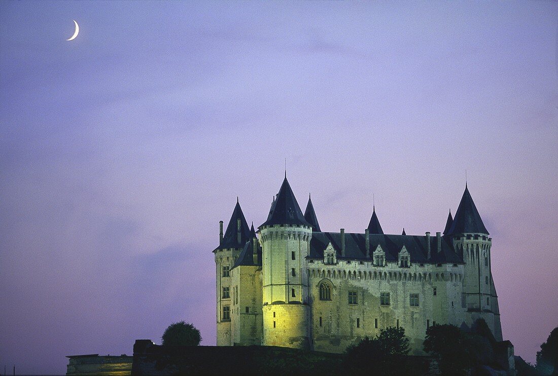 Das Château de Saumur bei Nacht, Maine-et-Loire, Frankreich