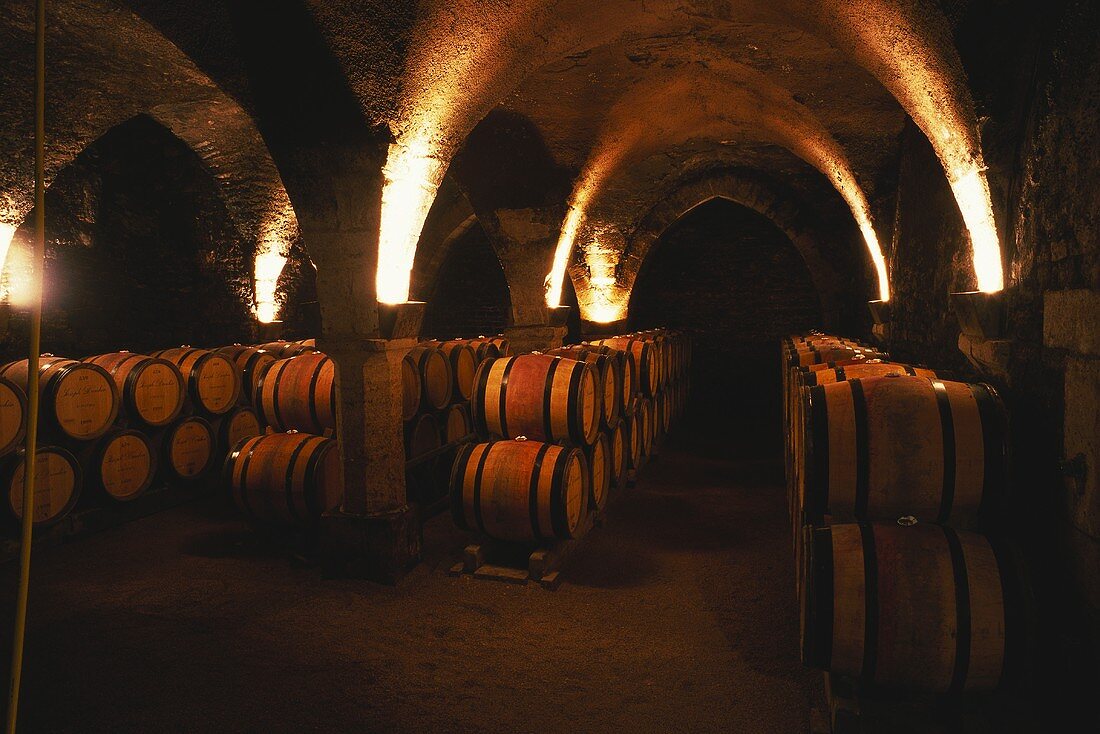 Fässer lagern im Weinkeller von Bouchard Pere et Fils,Burgund