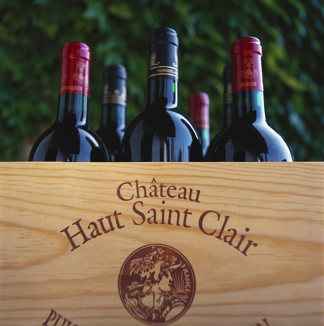 Weinflaschen vom Château Haut Saint Clair, Frankreich