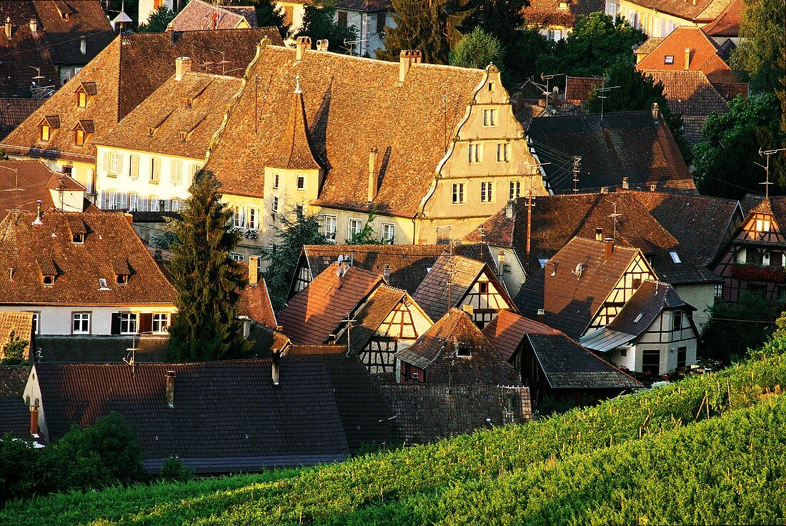 Andlau, bekannter Weinort im Elsass, Frankreich