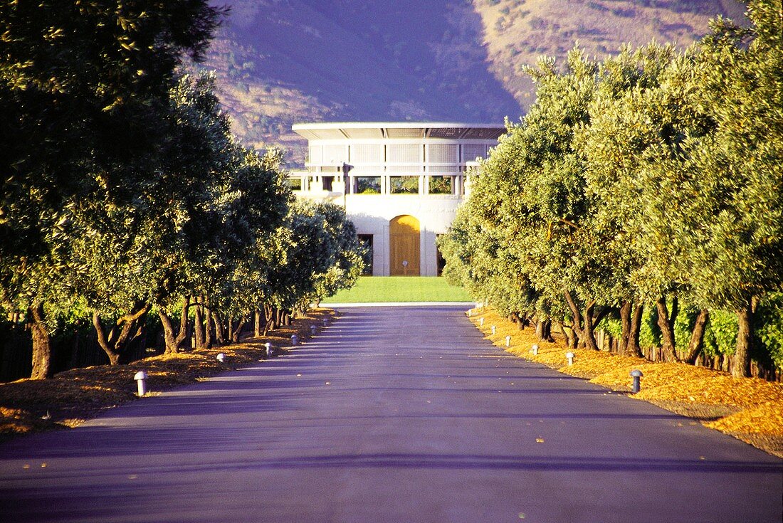 Aufahrt zum Luxus-Weingut Opus One, Napa Valley, Kalifornien