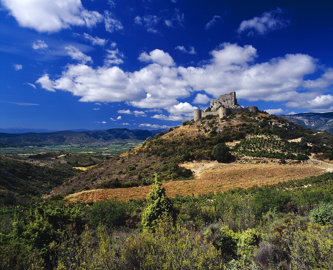 Ruine von Schloss d'Aguilar über Weinbergen von Tuchan, Aude