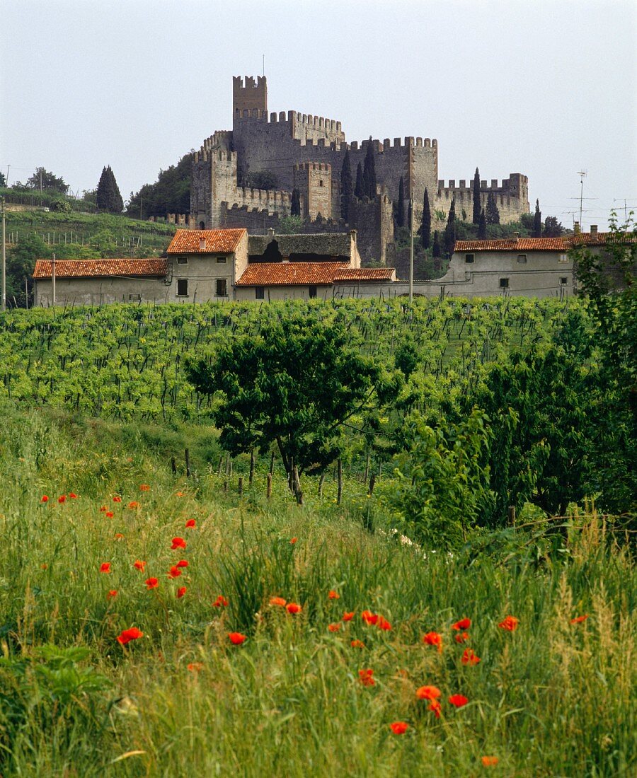 Die mittelalterliche Burg von Soave, Veneto, Italien