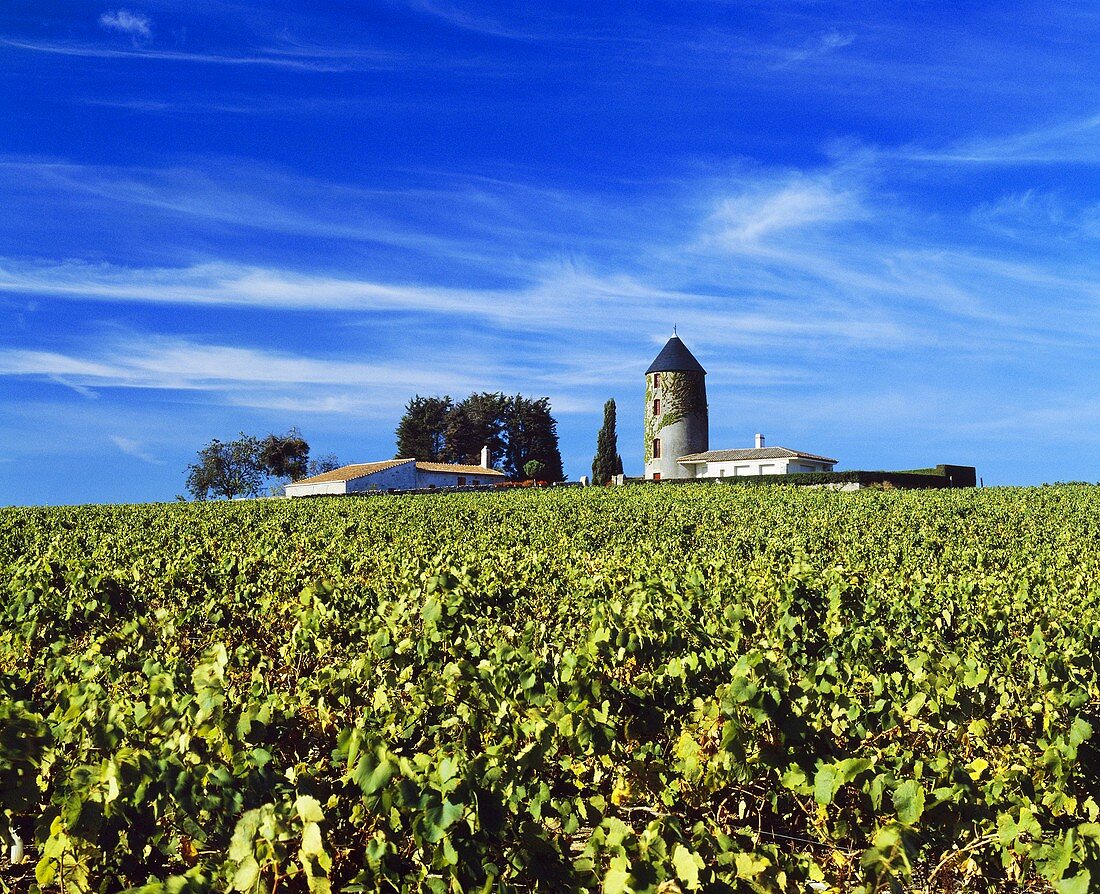 Alte Windmühle bei Halopierre, unweit von Monnieres, Loire
