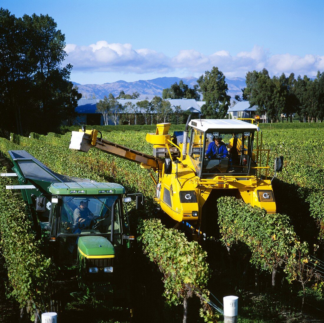 Maschinen erleichtern die Weinlese, Marlborough, Neuseeland