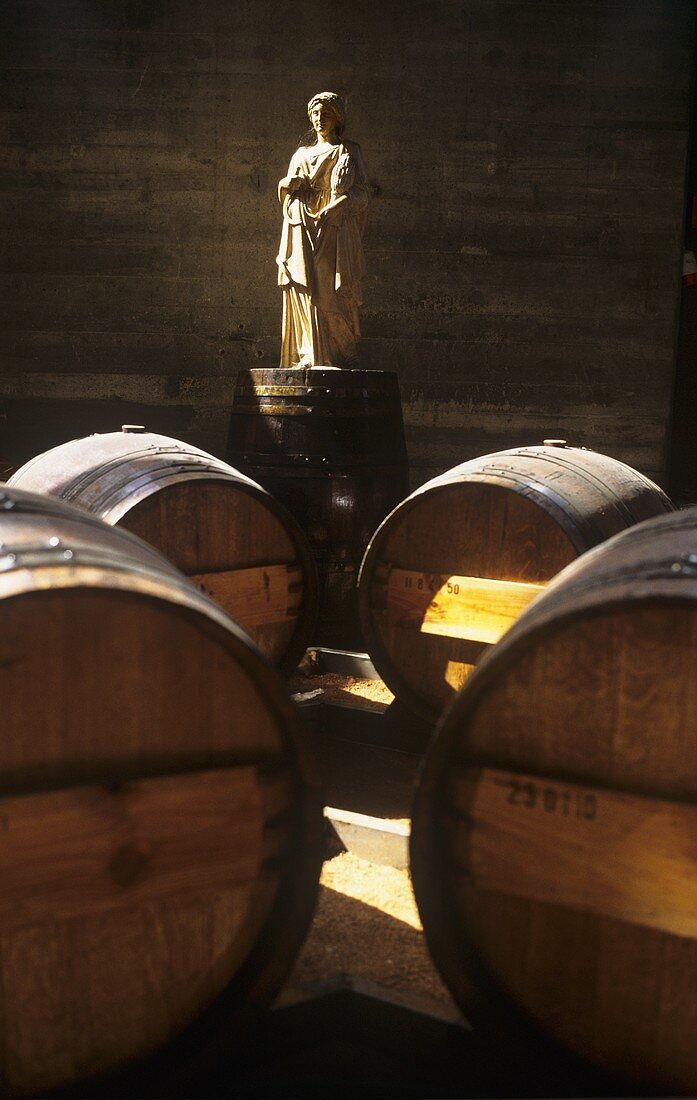 Moscato-Fässer bei J.P.Vinhos, bekanntes Weingut in Portugal