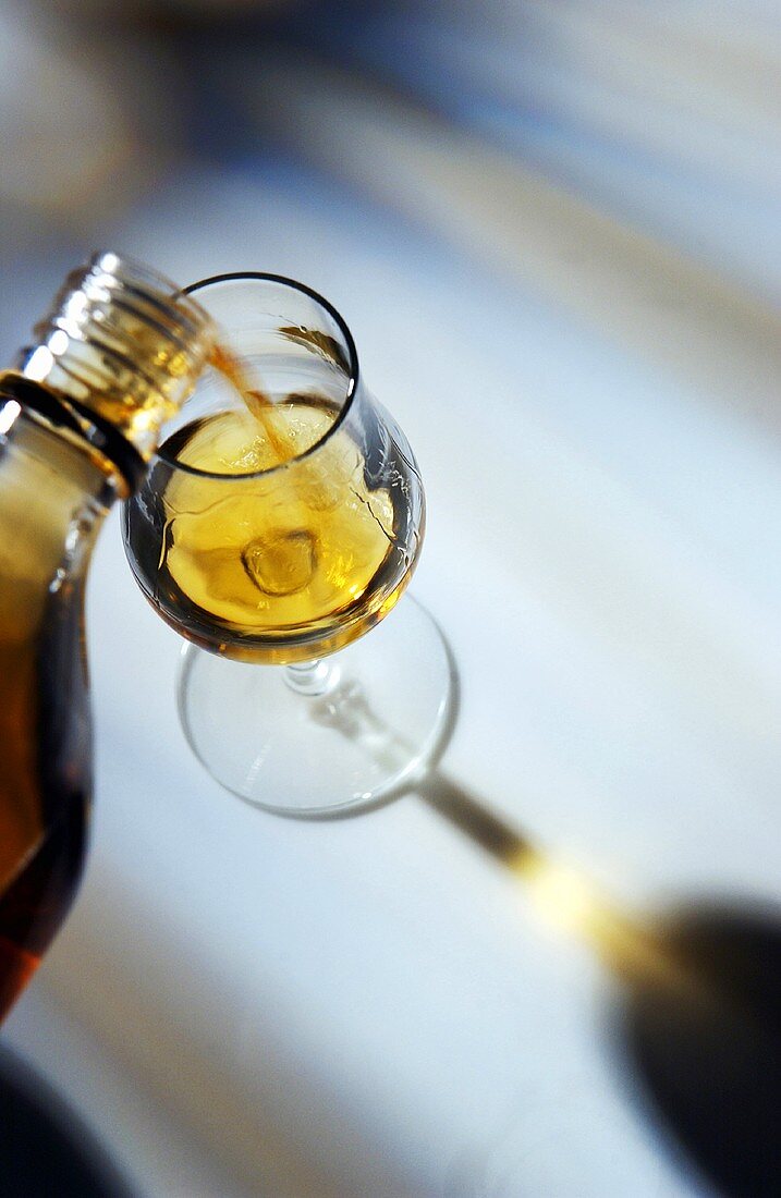 Single Malt Whisky wird in ein Glas eingeschenkt