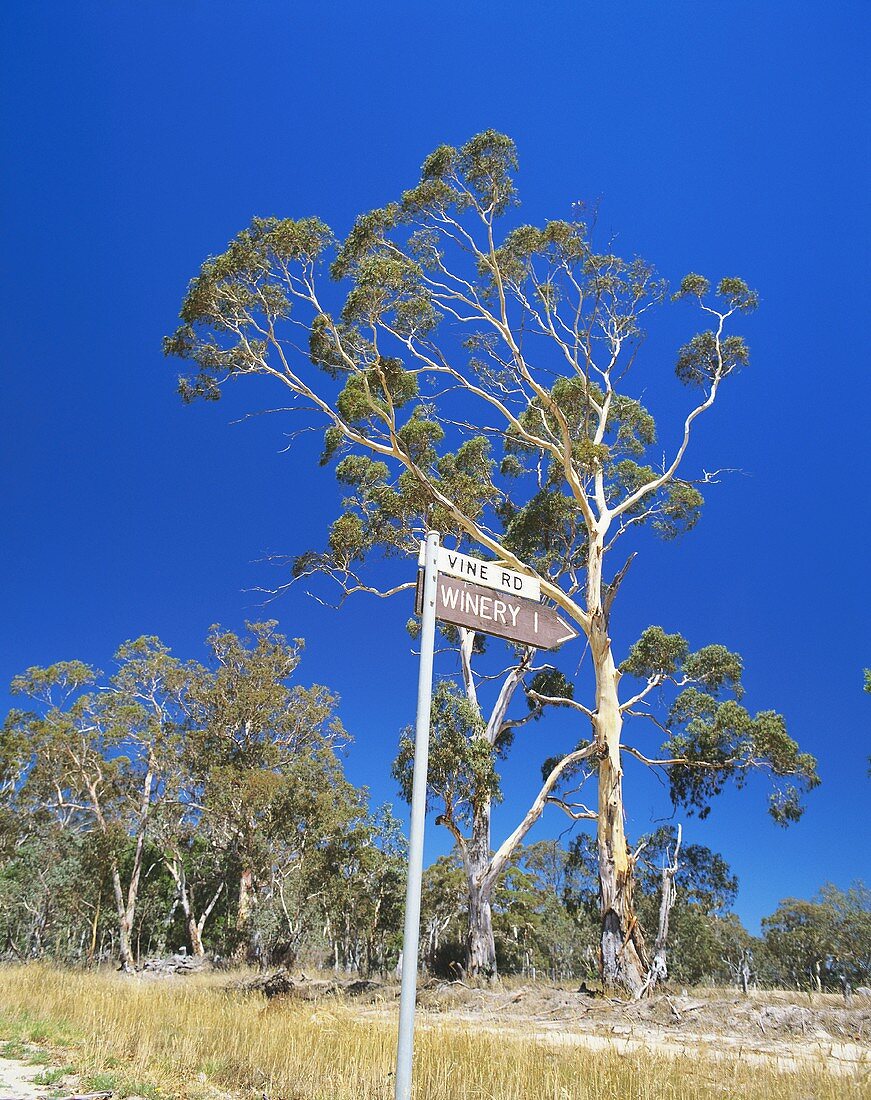 Wegweiser zur Mount Langi Ghiran Winery, Victoria, Australien