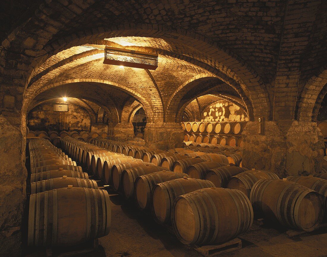 Viña San Pedro wine cellar, Lontué, Valle de Curico, Chile