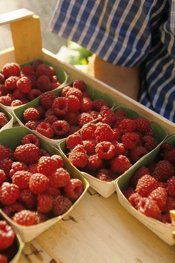 Raspberries in small punnets