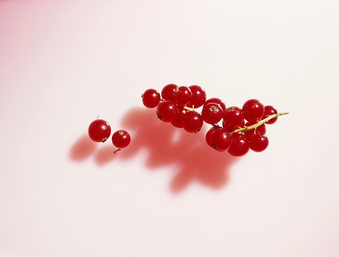 Truss of redcurrants and two single currants