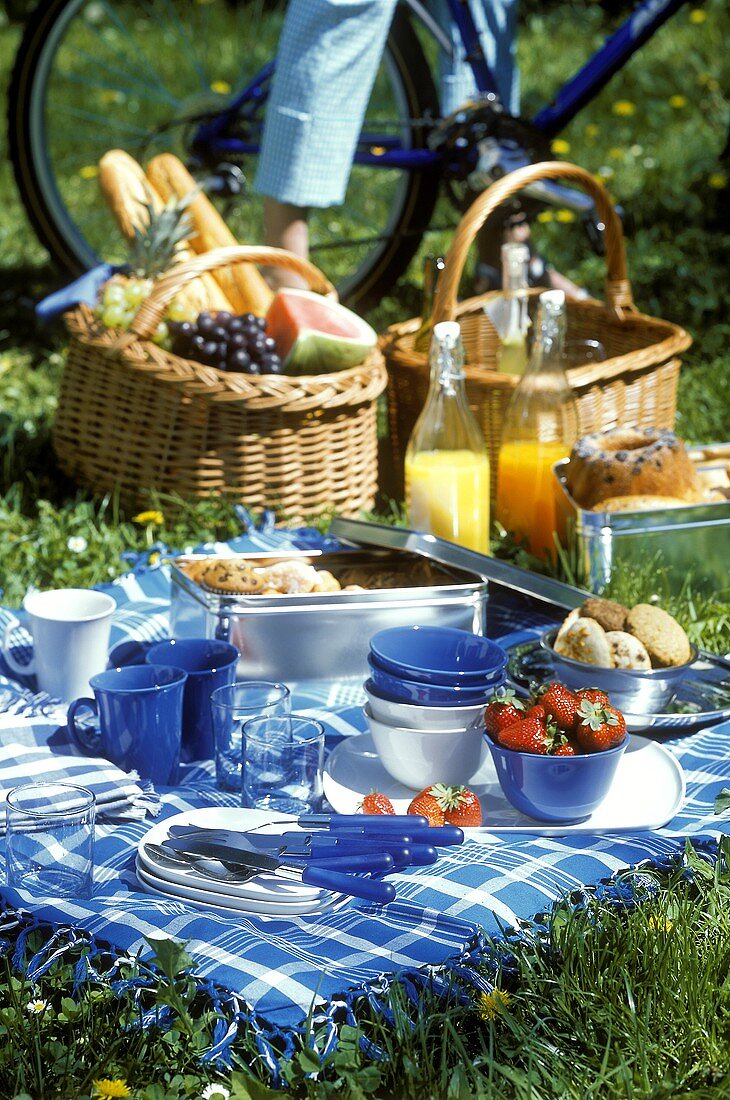 Picknickszene mit Picknickgeschirr, Beeren, Kuchen, Saft etc.