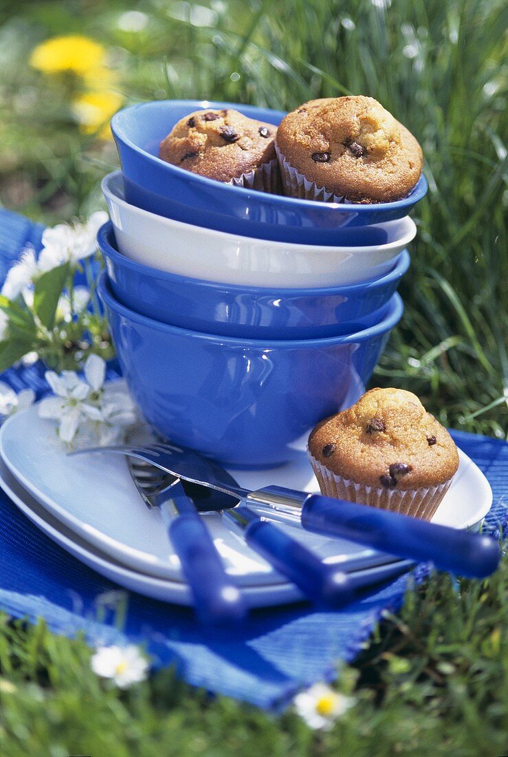 Chocolatchip-Muffins und Picknickgeschirr auf der Wiese