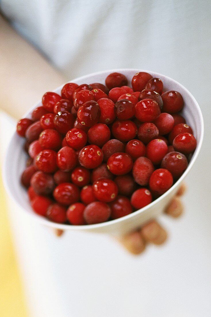 Hand holding bowl of cranberries