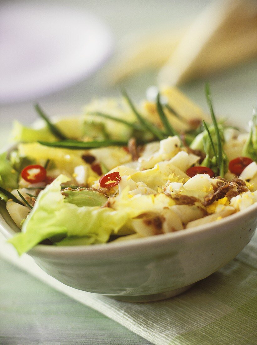 Vegetable salad with white asparagus, egg and chicory