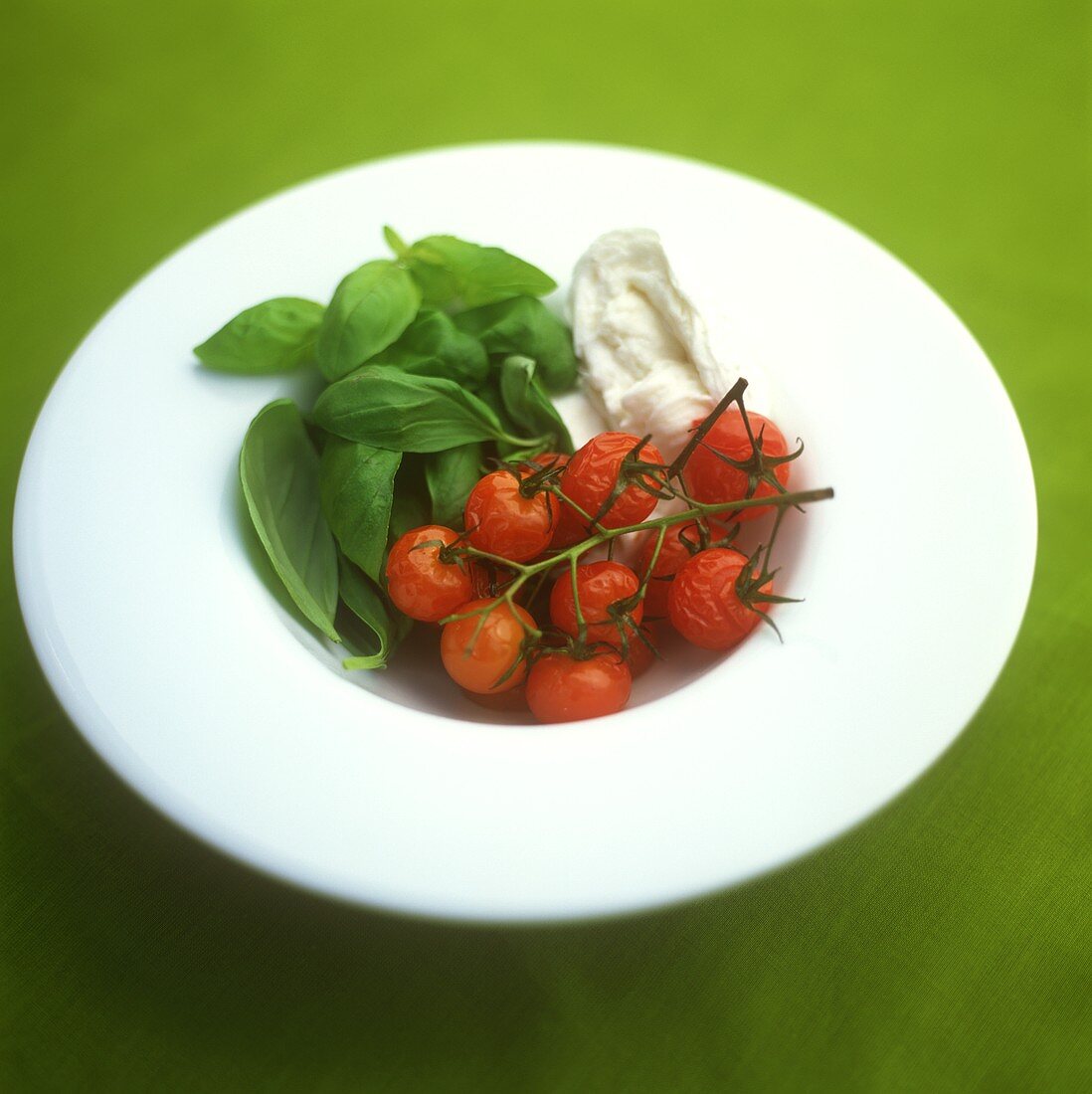 Baked cherry tomatoes with mozzarella and basil