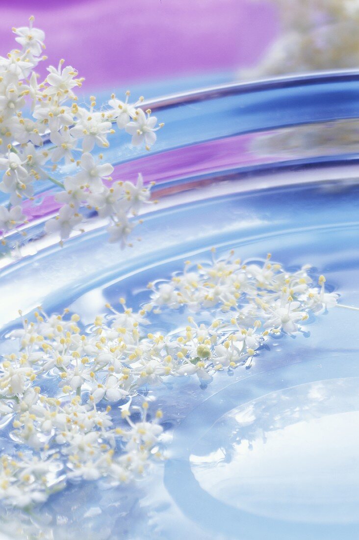 Holunderblüten als Deko am Rand eines Glastellers