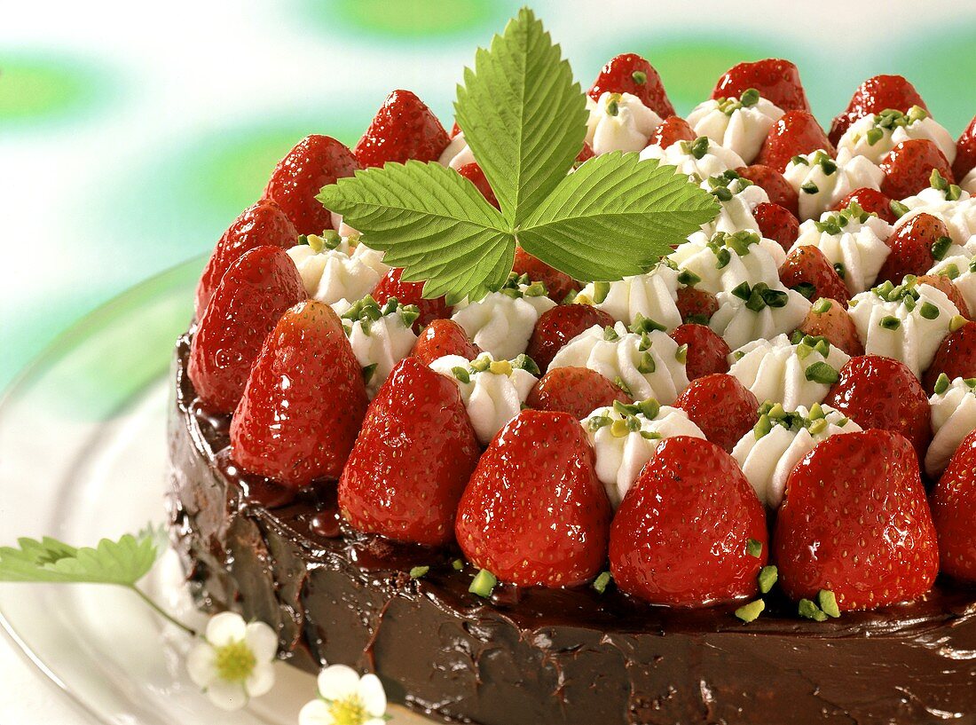 Strawberry chocolate gateau