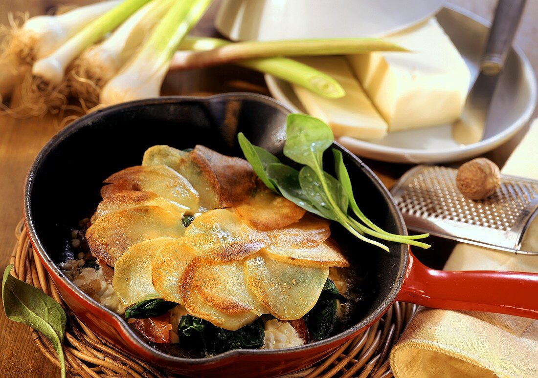 Gebratene Kartoffelscheiben mit Spinat und Hüttenkäse gefüllt