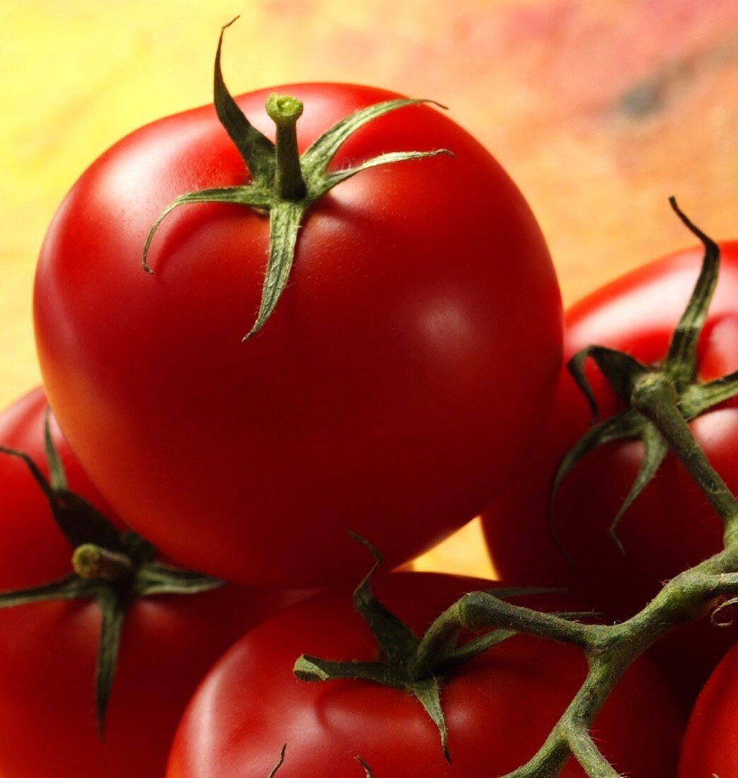 Tomaten