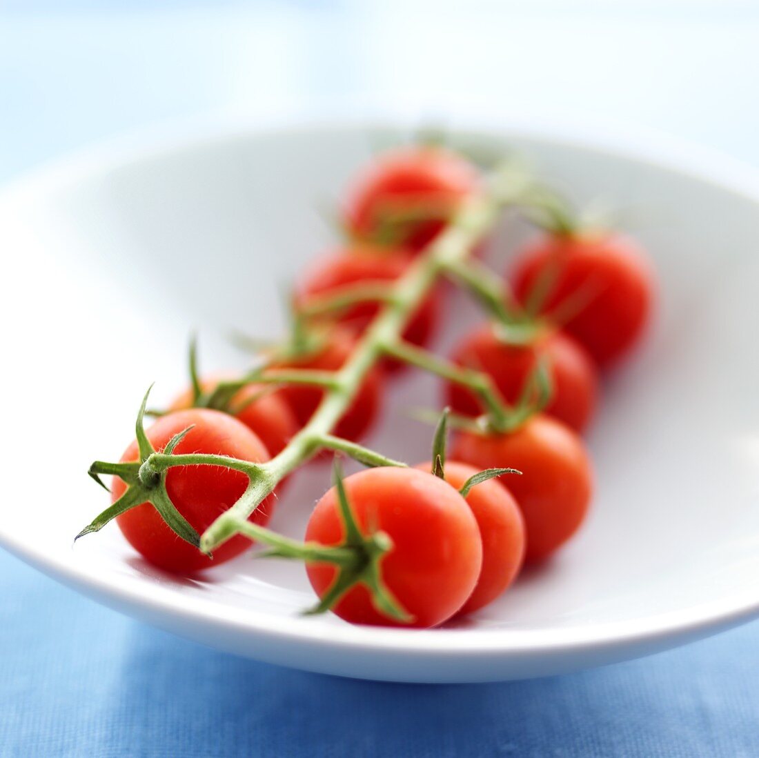 Kirschtomaten-Rispe (Cocktailtomaten) auf einem Teller