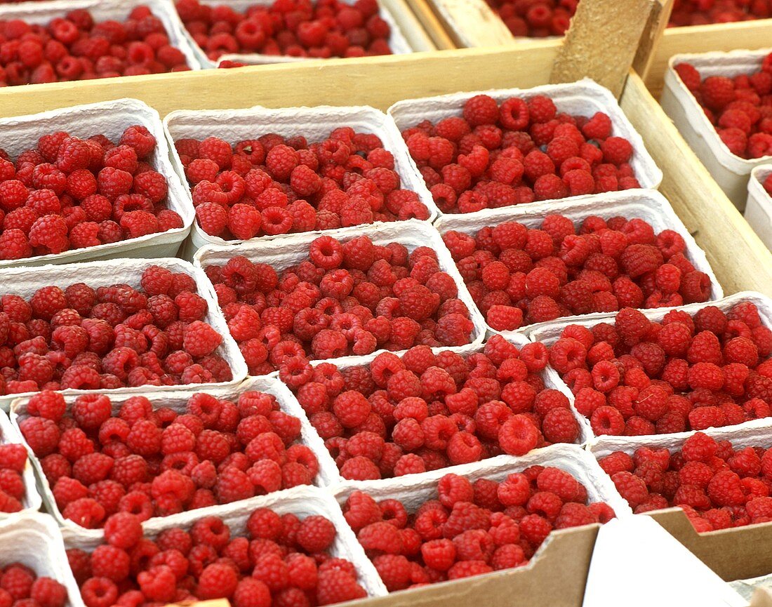 Himbeeren in Pappschälchen auf dem Markt